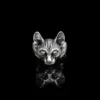 Nhẫn bạc s925 Nami Space Mèo Sphynx RS015