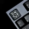 Keycap bạc 1u Nami Space Hoa Mai KC008