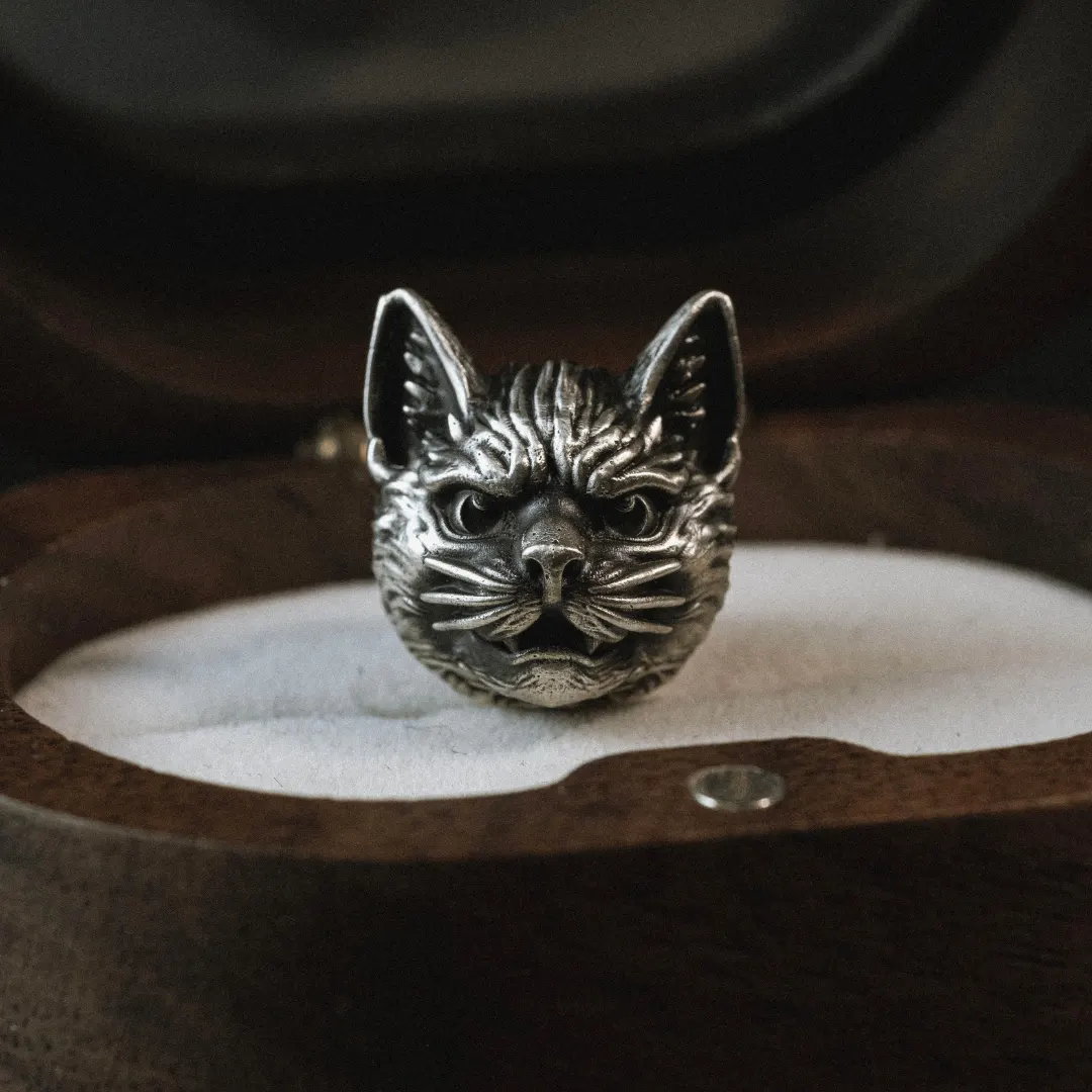 Alternative view of Charm bạc s925 Nami Space Lynx CR0137