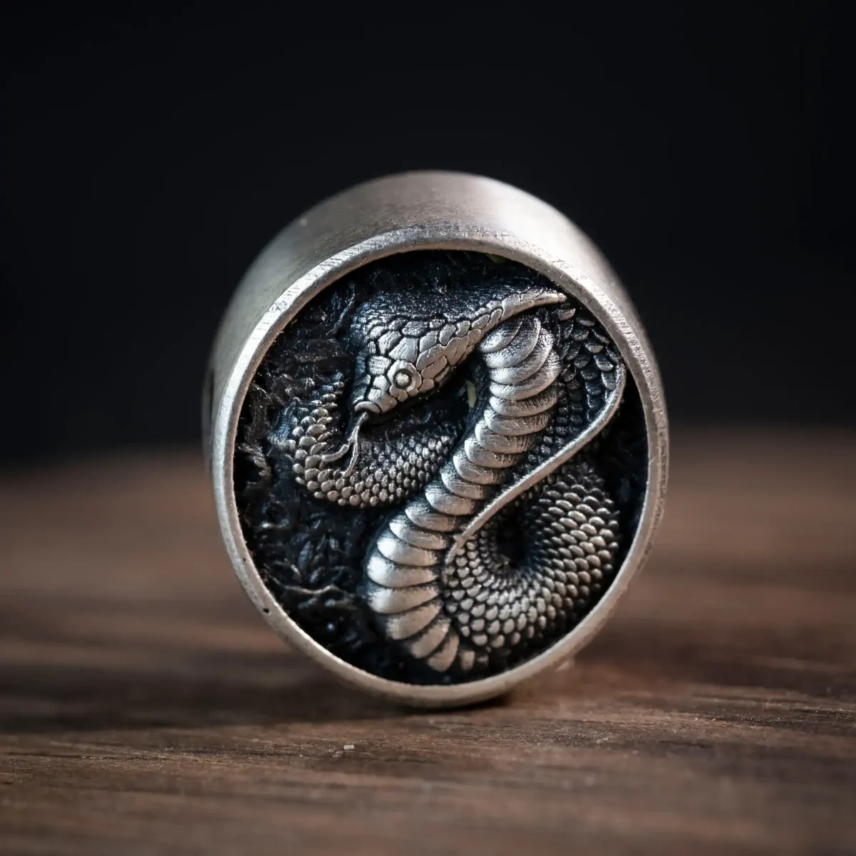 Charm bạc s925 Nami Space Ouroboros CR0154