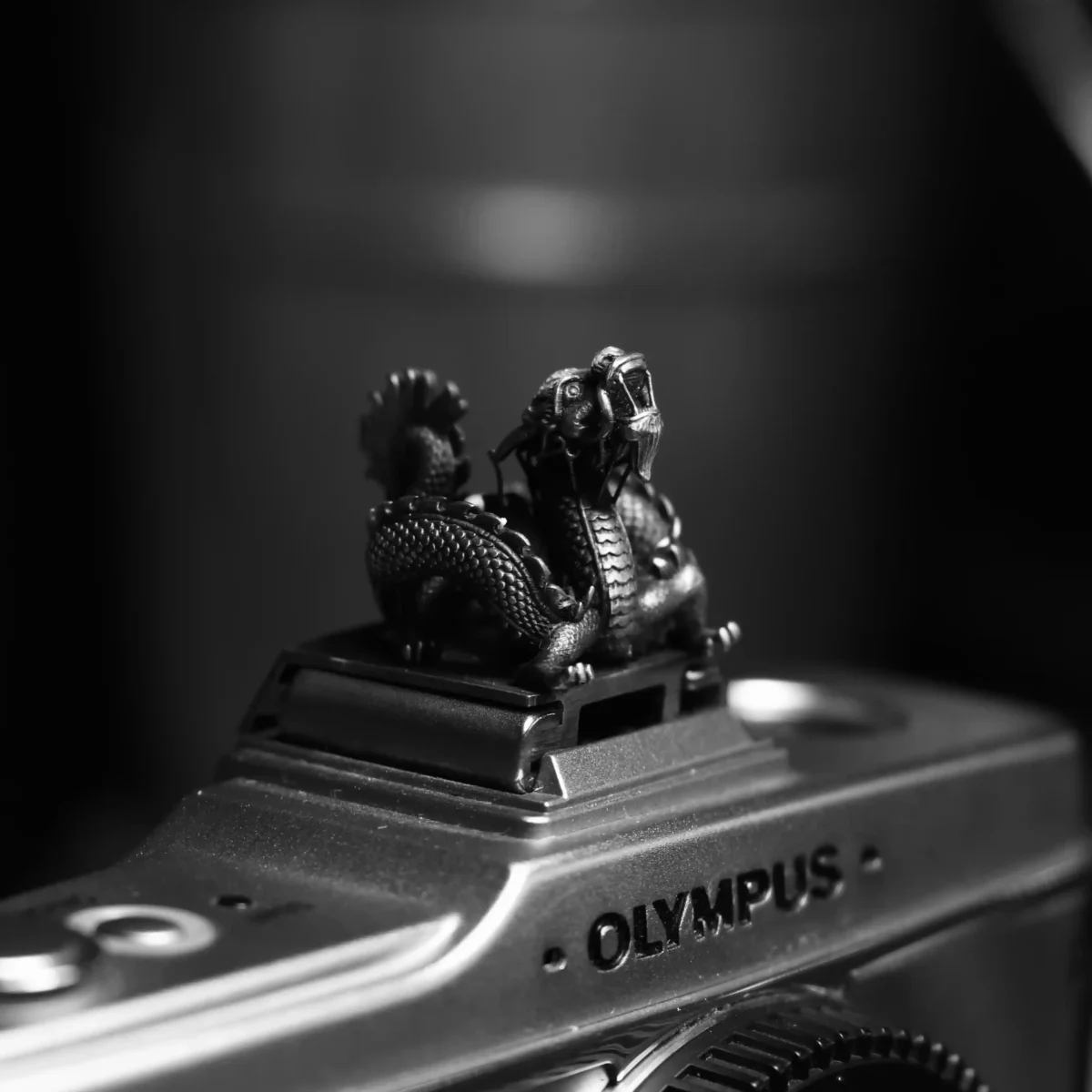 Hotshoe Bạc Nami Space Hoàng Đế Chi Bảo HS069